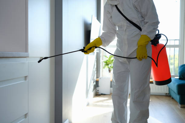 Office Mold Removal Services in Niverville, NY